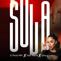 Sola (feat. Grey_cbrd & El perla mm) - Single - ALEX M MARTE