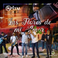 Las Flores De Mi Amor (feat. Grupo Reforza2) [En Vivo] - Single - Grupo La Kpital