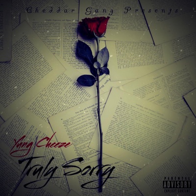 Truly Sorry (Remastered) - Single