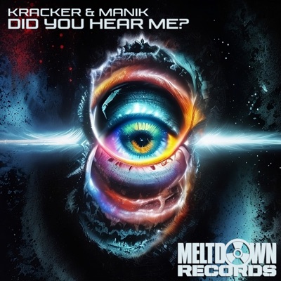 Did You Hear Me? - Single