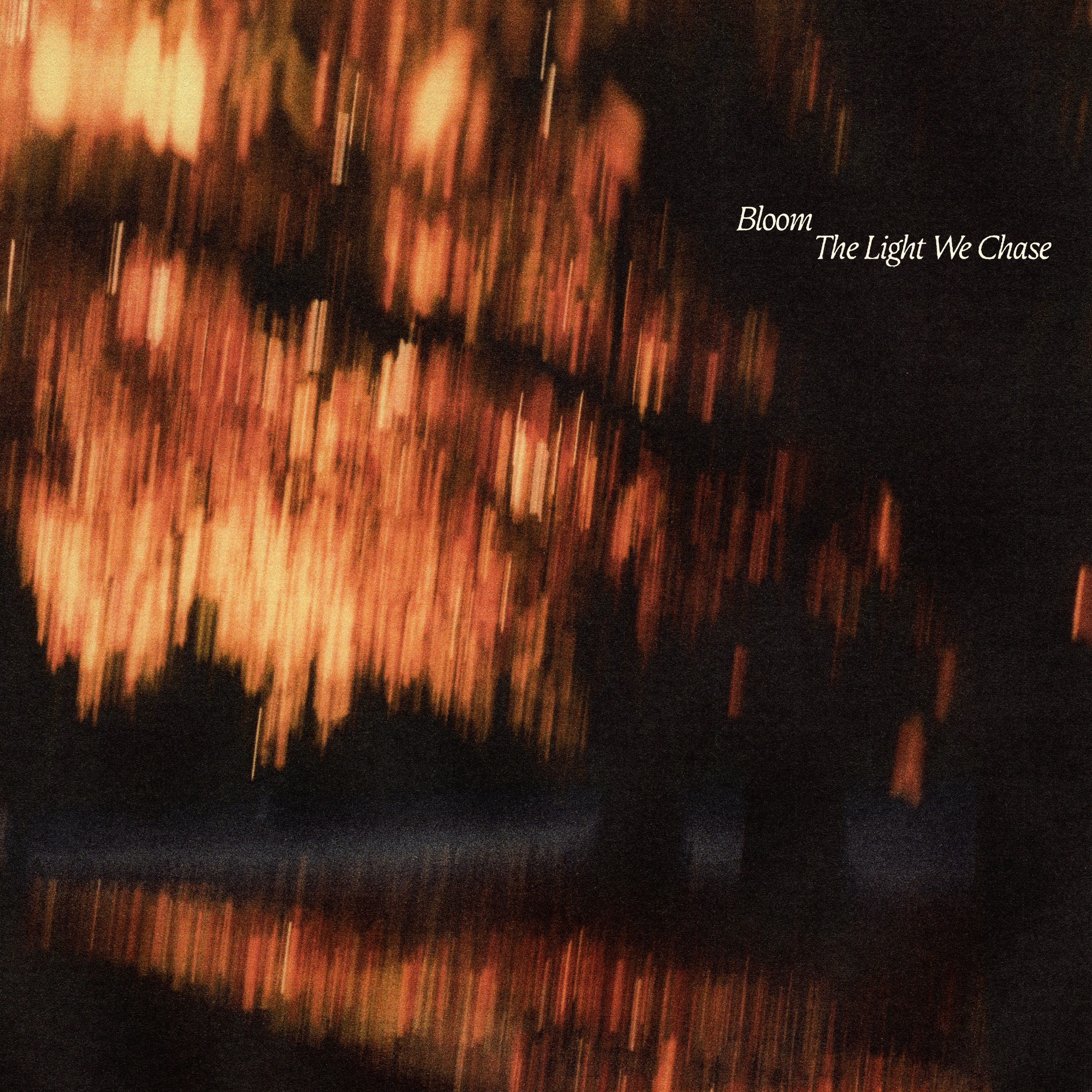 The Light We Chase