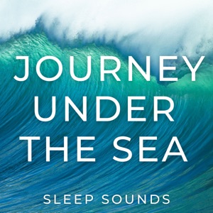 Journey Under the Sea