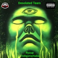 Desolated Tears (feat. Indigomerkaba) - Single - ryzup & Kamakazi