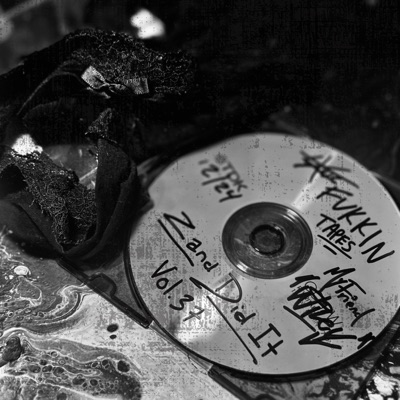 Zand Did It - Single