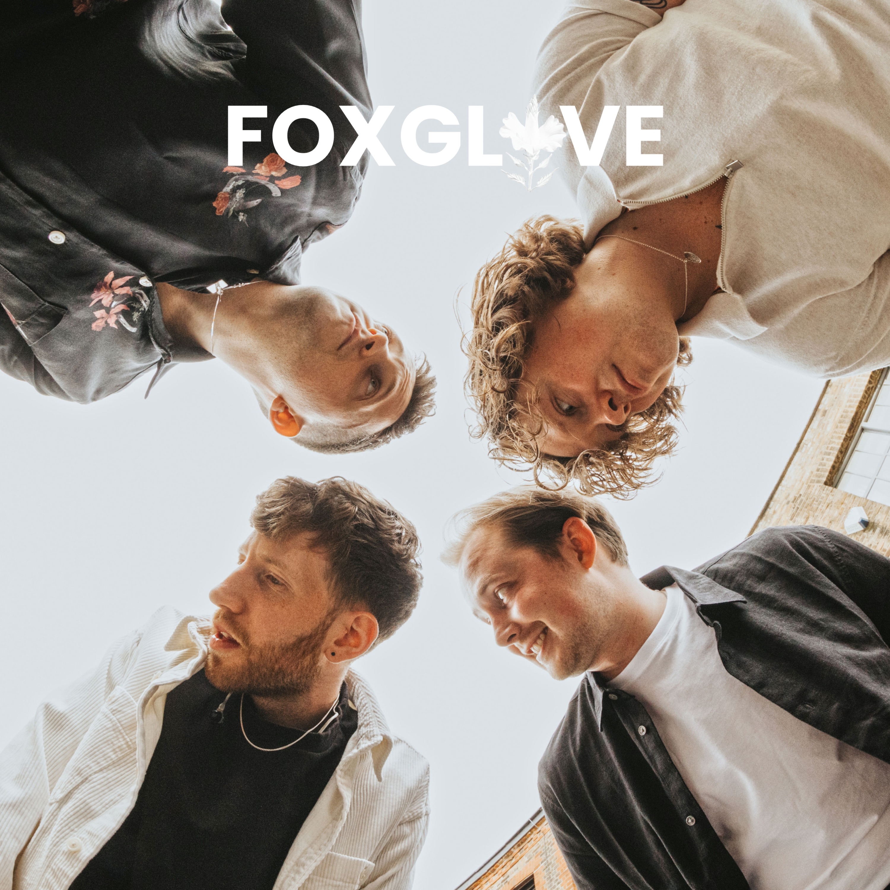 Foxglove - Single