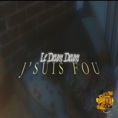 J'suis fou - Single
