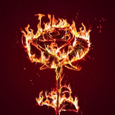 Rosas (feat. Dflow & Ivan) - Single