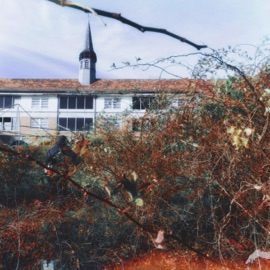 personal h3ll Yunglynx