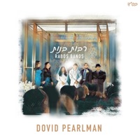 Rabos Banos - Single - Dovid Pearlman