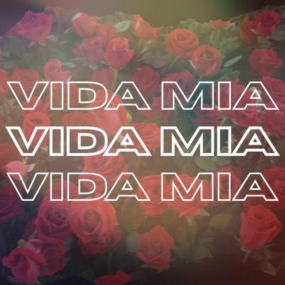 V I D A M I A - Single