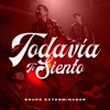 TODAVIA TE SIENTO