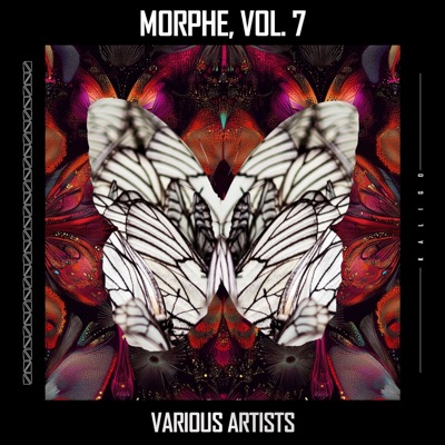 Morphe, Vol. 7