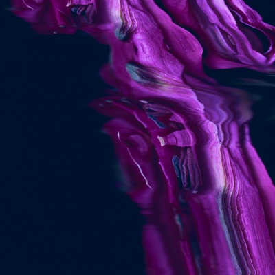 Song - Violins - Toneloom