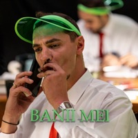 Banii mei - Single - Laur