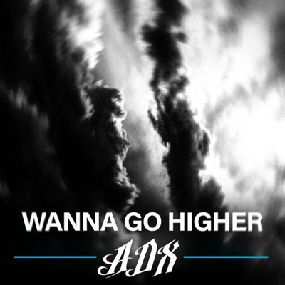 Wanna Go Higher - Single