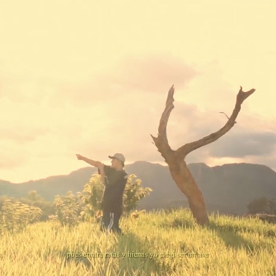 PIYEY (HORMIGUETTO) - Single