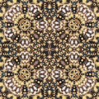 Internet Disconnected (feat. Suno) - EP - David M. Robbins