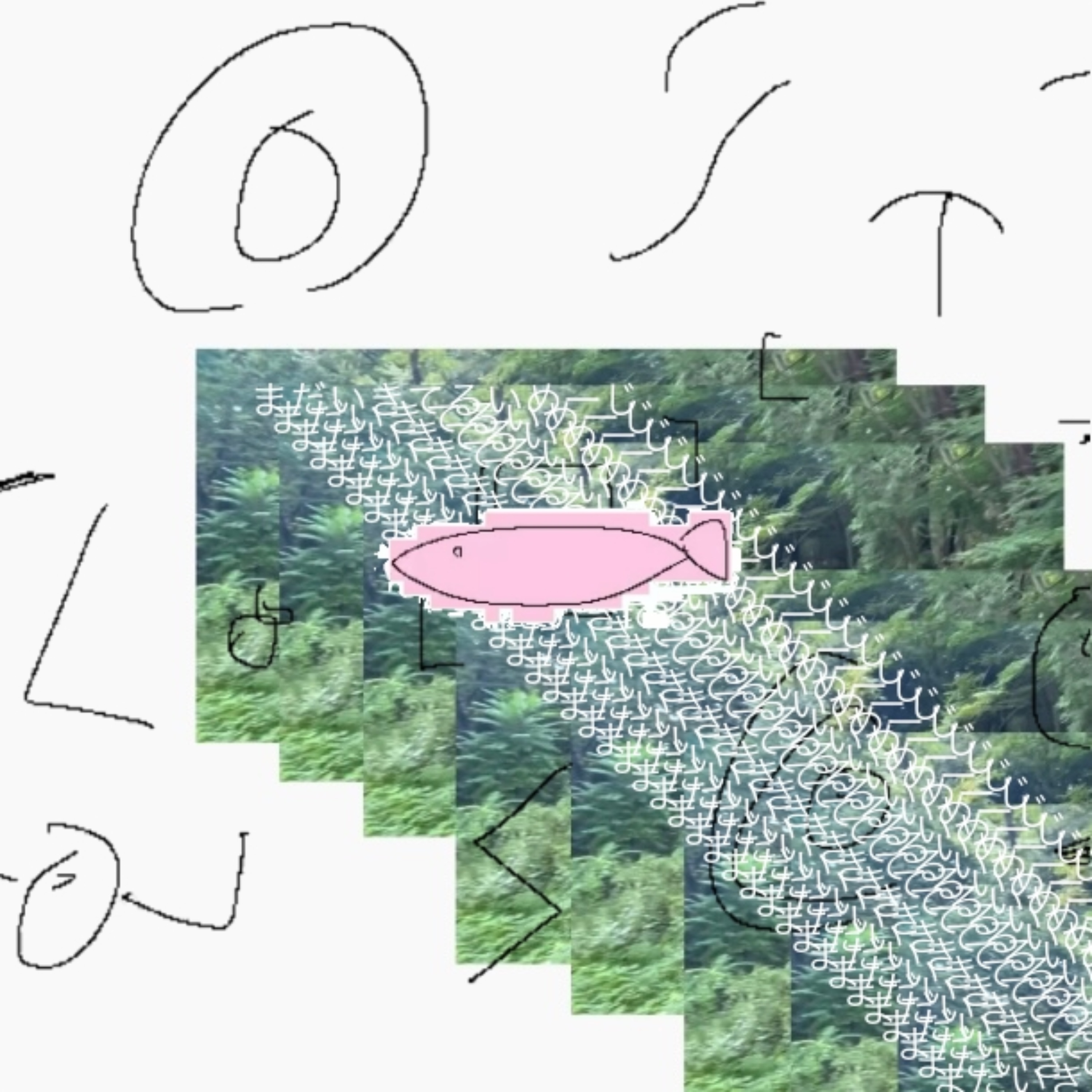 GRAVITY