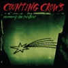 Counting Crows: A Long December