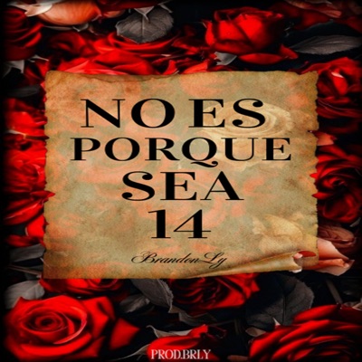 No Es Porque Sea 14 - Single