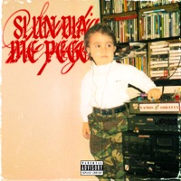 Si un Día Me Pego - Zurdo