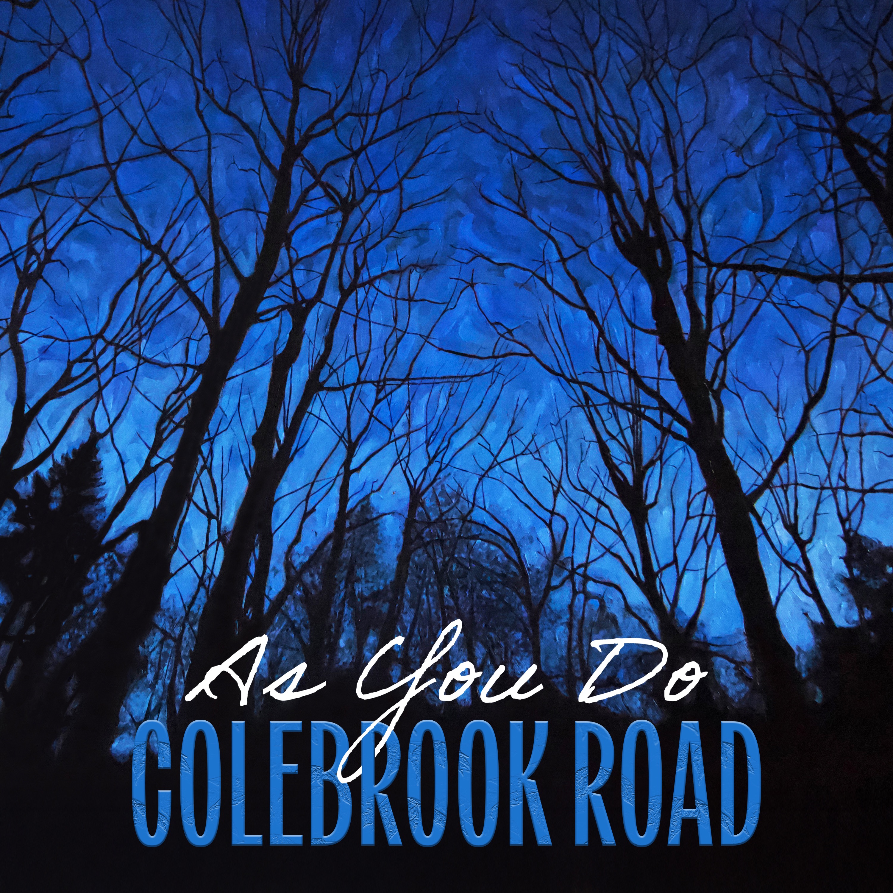 As You Do (feat. Woody Platt) - Single