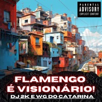Flamengo É Visionário - Single - Mc Bokinha, Dj 2K do Catarina & DJ WGDOCATARINA