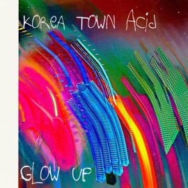 Downslide KOREA TOWN ACID