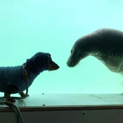 Blue Ocean/Rarity - Single