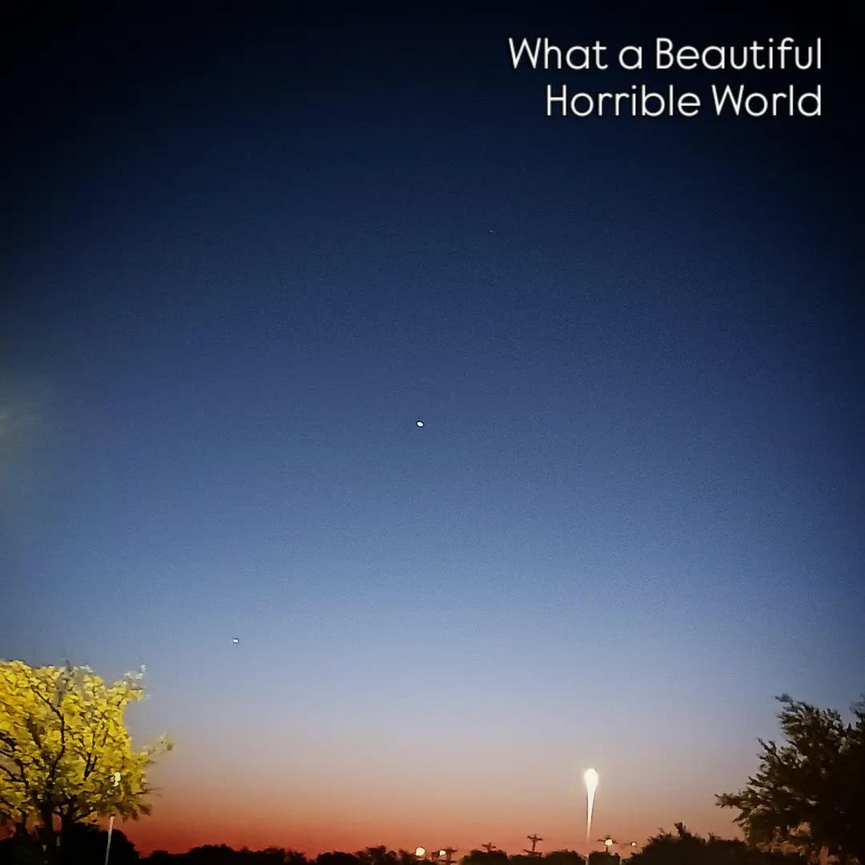What A Beautiful Horrible World - Single