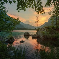 Like This. - Single - STEEZ