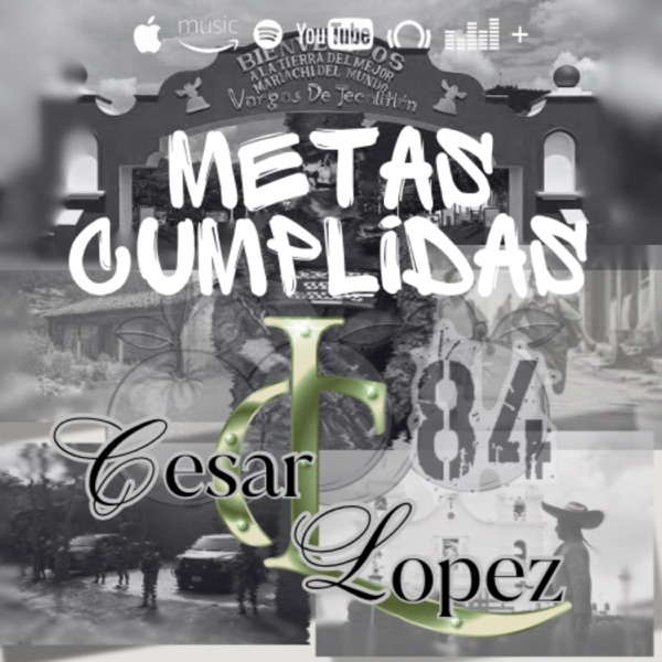 METAS CUMPLIDAS