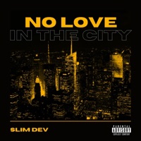 No Love in the City - Single - Slim Dev