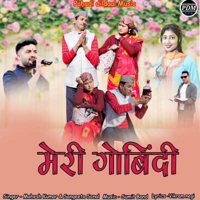 Meri Govindi - Single