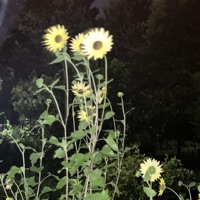 完美配角 - Single - ArukuZan