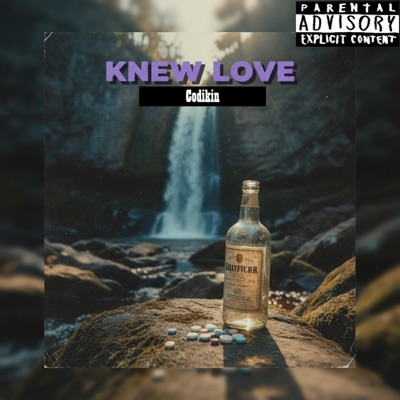 Knew Love - Single