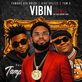 Gepetto Jackson Presents: Vibin (InTheKnow360)  (feat. Nino Breeze & Famous Kid Brick) [Remix] Tom. G