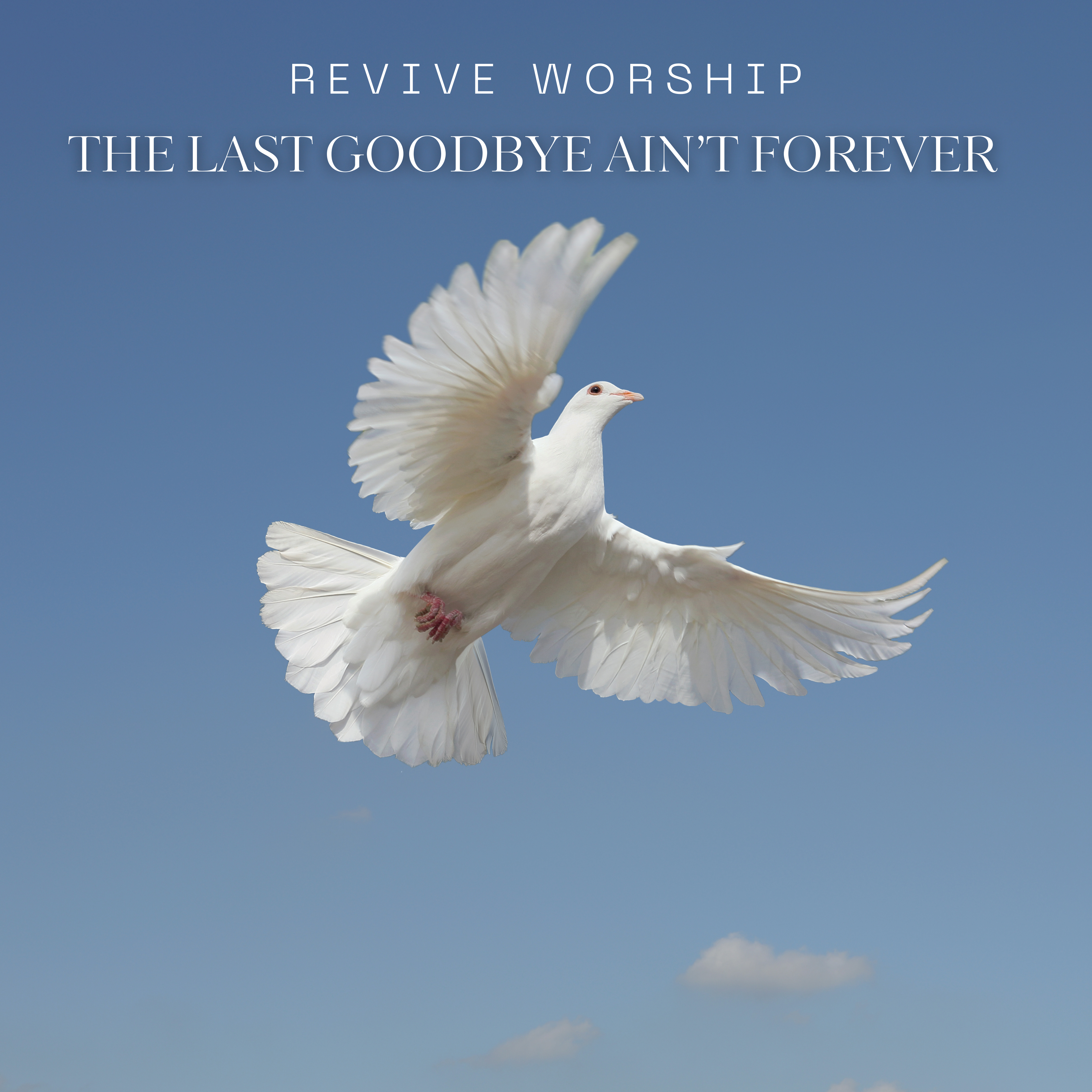 The Last Goodbye Ain’t Forever - Single