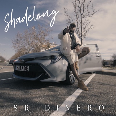 Sr Dinero - Single