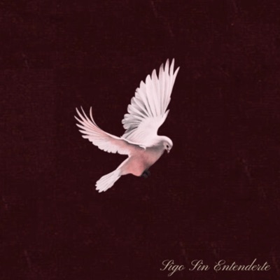 Sigo Sin Entenderte. - Single