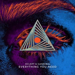 Everything You Need - Single