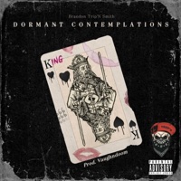Dormant Contemplations - Single - Brandon Trip N Smith