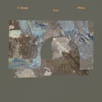 Wading the Plain — M. Sage