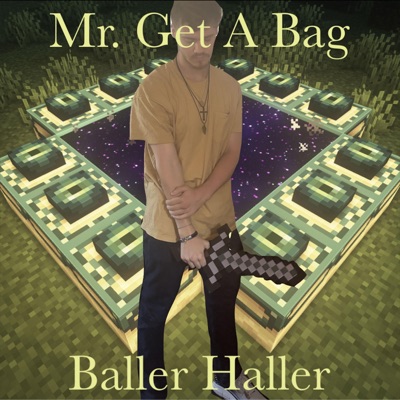 Mr. Get A Bag - Single