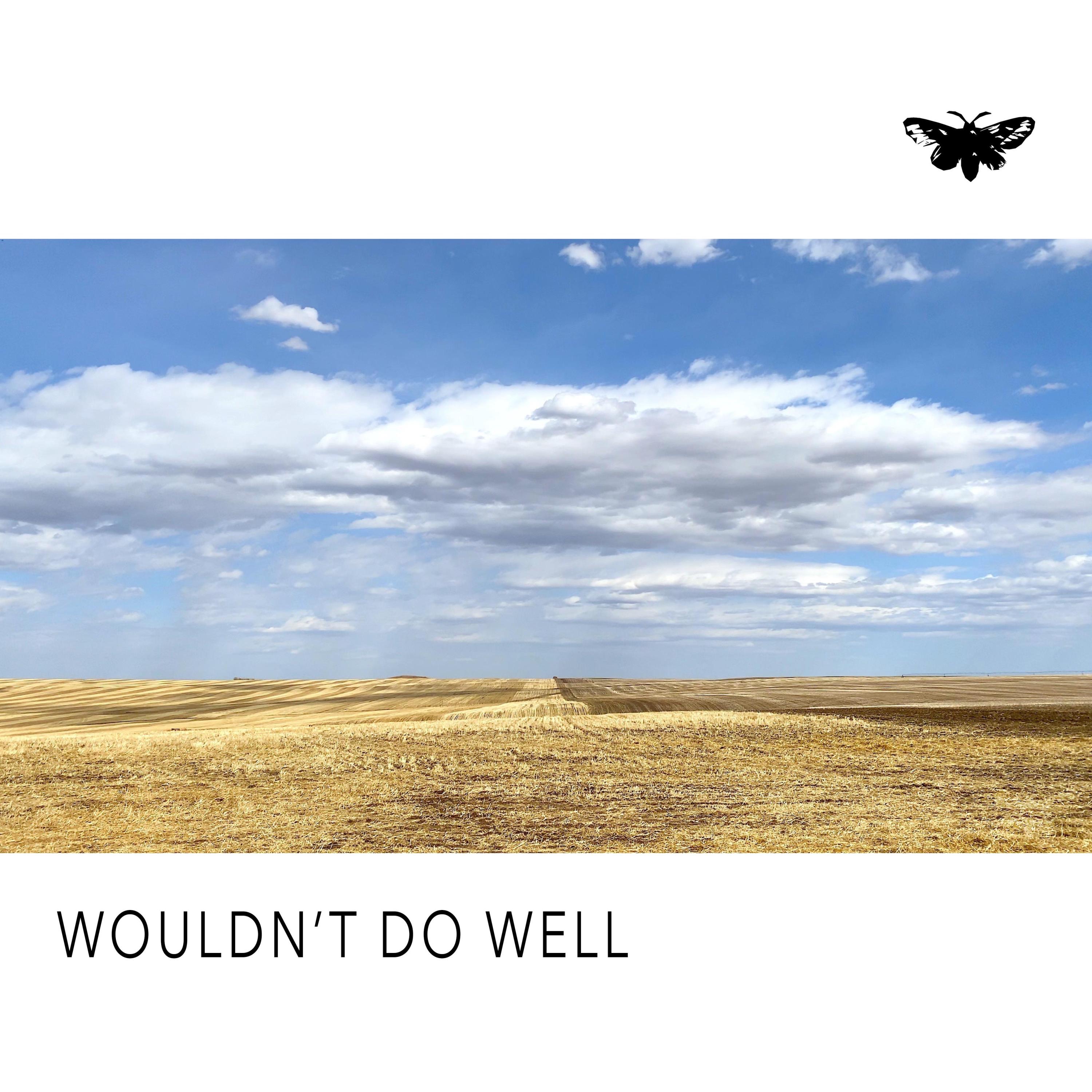 Wouldn't Do Well - Single