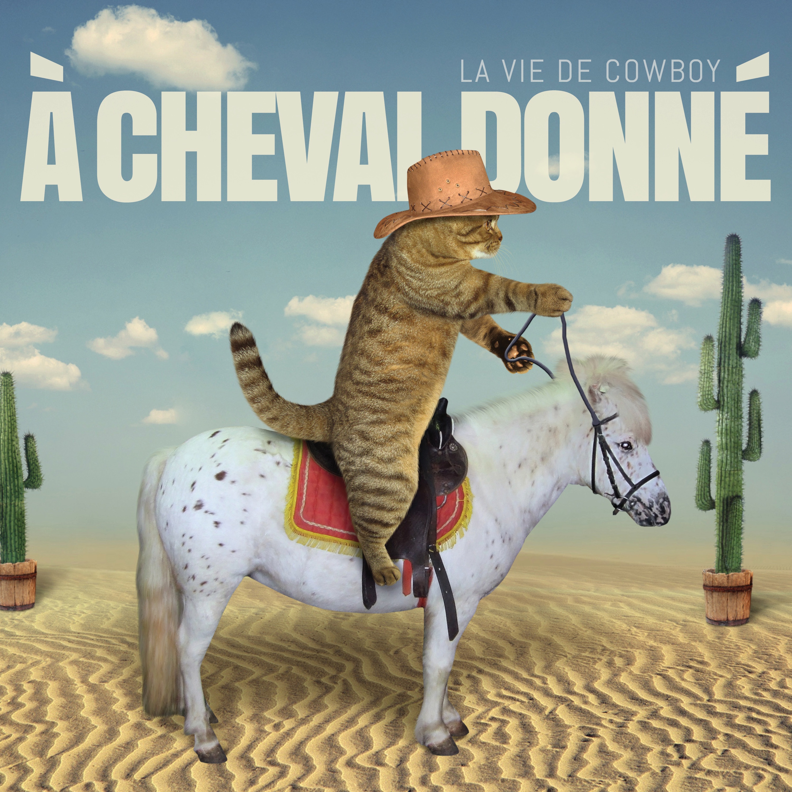 La vie de cowboy - Single