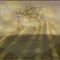 Opulent Bloodhood - Erosive Vision lyrics