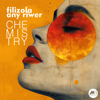 Chemistry - Filizola & Any Riwer