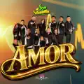 AMOR