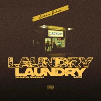 Laundry (feat. 4L JAVI) - Single - Brandyn Johnson